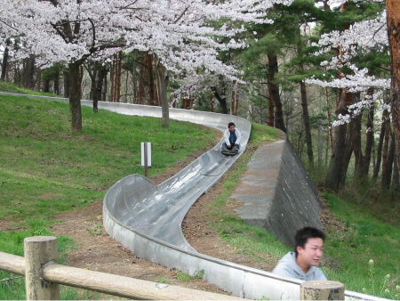 アルプス公園 ドリームコースター