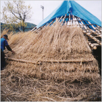 竪穴式住居復元実績写真6