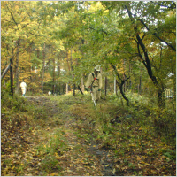 あづみの公園維持管理実績写真3