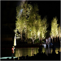 第67回全国植樹祭 長野大会実績写真3