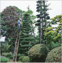 個人邸維持管理実績写真5