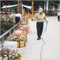 信州博 草花維持管理実績写真3