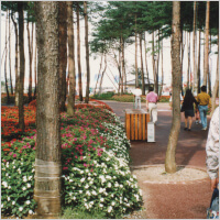信州博 草花維持管理実績写真4